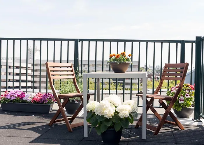 Rooftop Terrace Guest