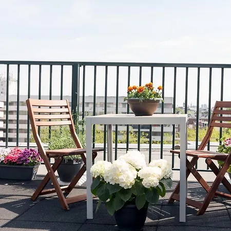 Rooftop Terrace Guest