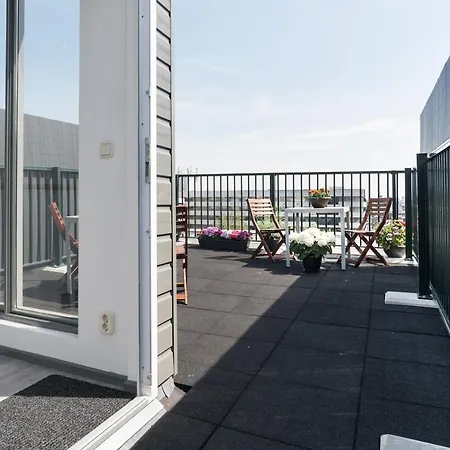 Rooftop Terrace Guest