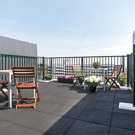 Rooftop Terrace Guest *