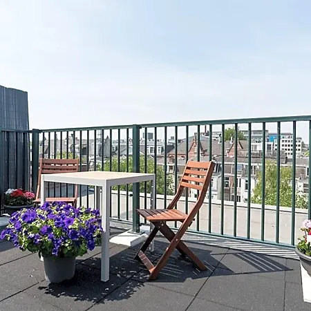 Rooftop Terrace Guest