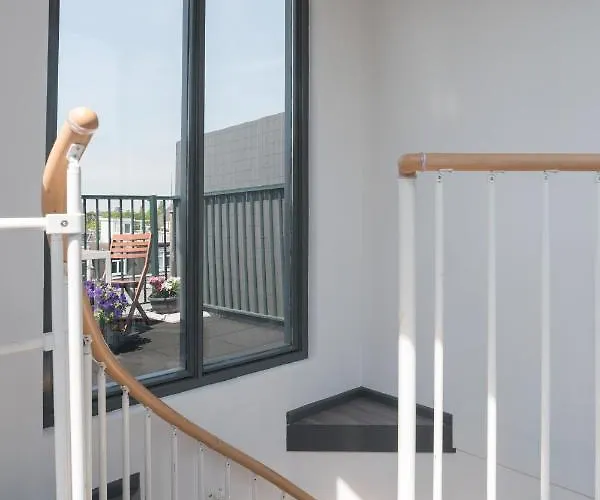 Rooftop Terrace Guest